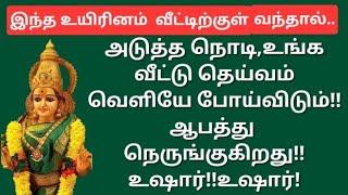 இந்த உயிரினம் வந்தால், தொடர்ந்து 48 நாட்கள் இந்த விஷயத்த மட்டும் உங்க வீட்ல செய்யுங்க!கவனம் தேவை!