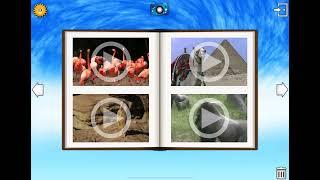 Find them all animals of africa:all videos