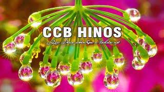 Hinos CCB cantados 2019 - Belos Hinos Na Presença Do Senhor