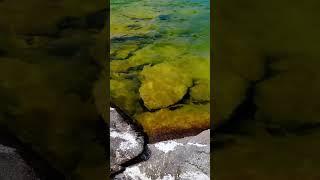 Камни, море и немного птичьего молока. Stones, sea, and a touch of bird’s milk.