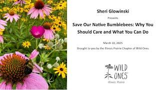 Save Our Native Bumblebees: Why You Should Care and What You Can Do