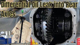 differential oil leak into the rear axles. We found this when our customer to change their rotors.
