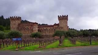 미국 일상 Vlog /Napa Valley Castle Winery/나파밸리 와이너리/Castello Di Amorosa Winery/캘리포니아 와인/샌프란시스코 여행/포도농장