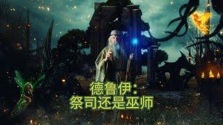 德鲁伊教：一种与自然和谐共存的信仰