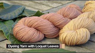 How to Make Dye Using Leaves