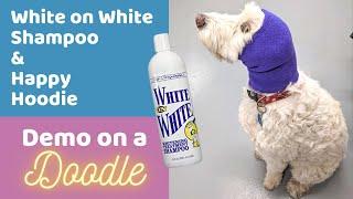 Bathing a Goldendoodle w/ Chris Christensen's White on White Shampoo and Trying the Happy Hoodie