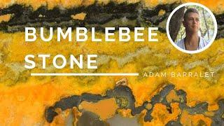 Bumblebee Stone - The Stone of Social Success