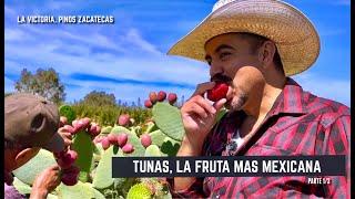 Las maravillas que NO CONOCÍAS SOBRE LAS TUNAS parte 1/3