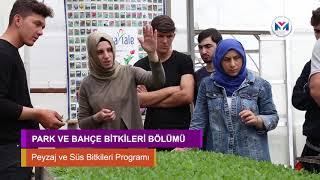 Park ve Bahçe Bitkileri Bölümü, Peyzaj ve Süs Bitkileri programı - OMÜ Samsun Meslek Yüksekokulu