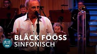 Bläck Fööss: Sinfonisch | WDR Funkhausorchester