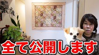 子犬と一緒に勝手に実家をルームツアーしてみたw w w【チワワのシナモン】