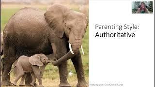 Authoritarian vs. Authoritative? 4 Parenting Styles Explained (Funny Examples!)- ASWB Exam Prep