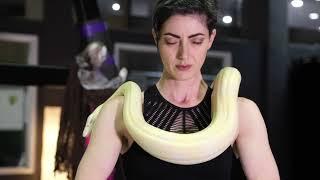 Caravan of Curiosities: Snake Yoga