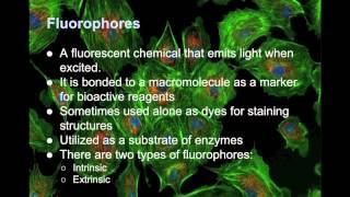 Fluoresence Chem 112 project