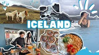 ICELAND VLOG! What I Ate This Week as a Vegan in Iceland