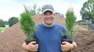 Money Grows on Trees in the Nursery business!! That's why it's unique.