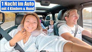 12 Stunden Auto fahren & übernachten mit 4 Kindern & Hund  Ab in den Familien Urlaub! Mamiseelen