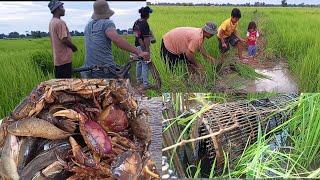 លើកលប ថ្ងៃដំបូង បានត្រី នឹងក្ដាម តែអ្នកភូមិខ្ញុំដាក់បង្កៃត្រី នឹងលើកលបយួរមកហើយ