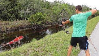 Bow Fishing Colorful Fish To Feed My Massive Pets!!