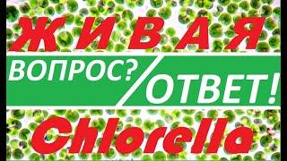 Альготек - технология обмана. Часть 1.