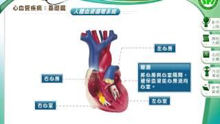 「心臟血管疾病預防與社區照護」人體血液循環系統