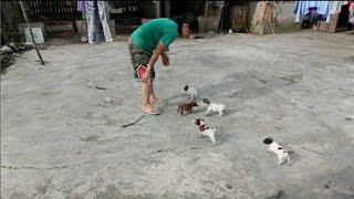 playing with puppies..| pinayofw mp balikbayan