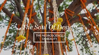 The Soul of Design and the Neuroscience of Beauty