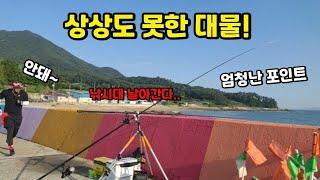 낚시대를 끌고 가는 6짜 대물이 돌아다니는 방파제! 한 눈 팔면 큰일나요!