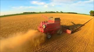 Aerial Wheat Harvest in Northern Minnesota