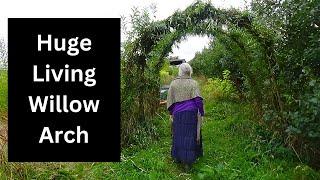 Step-by-step Guide To Building Your Own Enchanting Living Willow Structure!