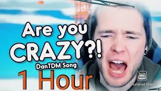 ARE YOU CRAZY, 1 Hour | Song By Endigo