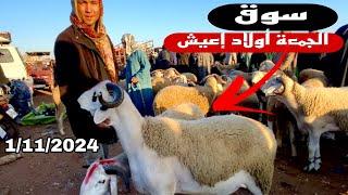 اليوم من سوق الجمعة أولاد إعيش إقليم بني ملال 1/11/2024 مع تمن حولي و النعجة 