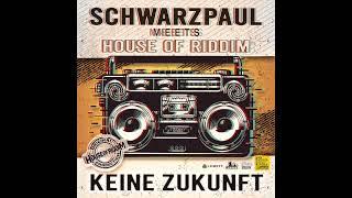 Schwarzpaul meets House of Riddim "Keine Zukunft"