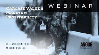 Carcass Value & Maximum Profitability | WEBINAR - Nov. 20, 2024