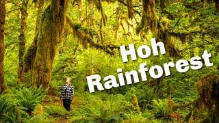 How to See Olympic National Park in One Day | Hoh Rainforest