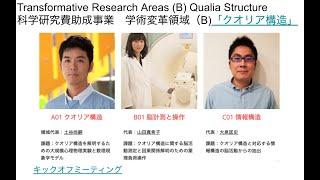 The Qualia-structure project (introduction)