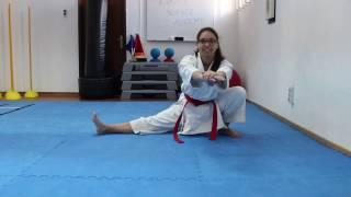 Dynamic Active Flexibility - Karate Science Academy