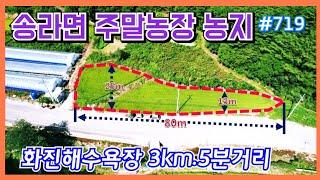 #719 화진해수욕장 3km.송라 전원주택지-‎@강산부동산TV