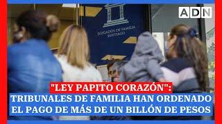 "Ley Papito Corazón": Tribunales de familia han ordenado el pago de más de un billón de pesos