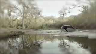 {Video title} - Only Motors