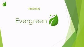 Živé IT 2020 - Evergreen (1. miesto)