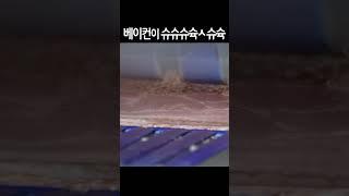 베이컨 커팅식을 진행하겠습니다