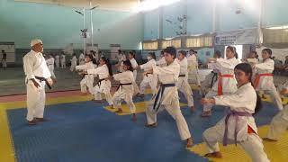 Karate Basic Training by Shito-ryu Karate School