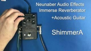 Immerse Reverberator+Acoustic Guitar