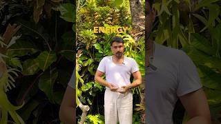 Your Healing Hands | @PrashantjYoga #pranayamaforbeginners #reiki #pranayama