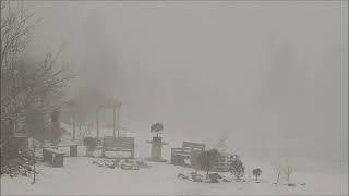 Sudden blizzard in Beskidy mountains