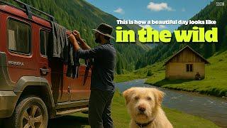You will have a smile when this video ends | Beautiful day in my WEIRD NOMADIC LIFE