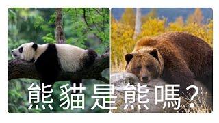 大熊貓是熊嗎？分子生物学家对熊猫经过DNA研究之后认为，大熊猫应该算是熊科动物的一个亚种。 甚至还研究发现，小熊猫本身也不是一种浣熊，而是另一种独立的物种，和浣熊是平级。