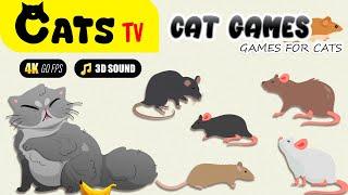 CAT TV | Realistic Mouse for Cats | CAT GAMES with 3D Sound