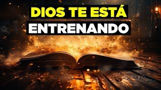 DEVOCIONAL DE PODER: Dios Te Ha Preparado Para Cosas Mayores Como el Rey David